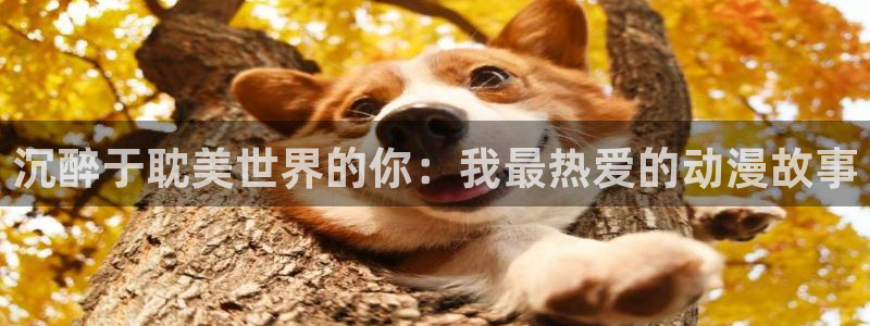 涩里番漫画免费下载：沉醉于耽美世界的你：我最热爱的动漫故事