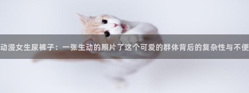 里番动漫排名：动漫女生尿裤子：一张生动的照片了这个可爱的群体背后的复杂性与不便