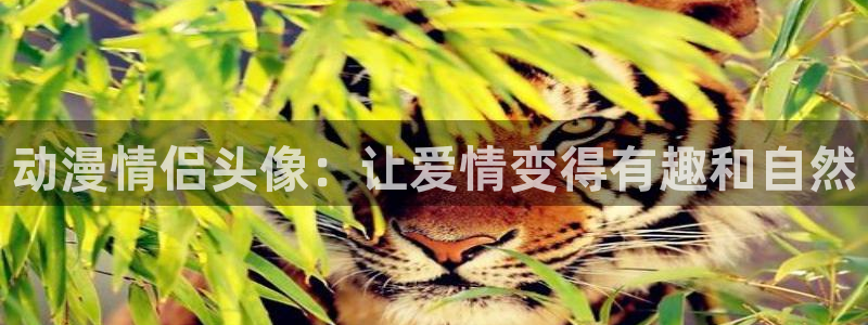 成人动漫里番在线：动漫情侣头像：让爱情变得有趣和自然