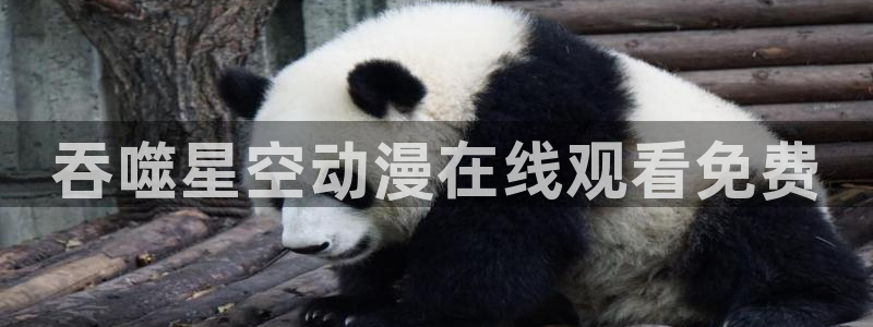 里番动漫盘点：吞噬星空动漫在线观看免费