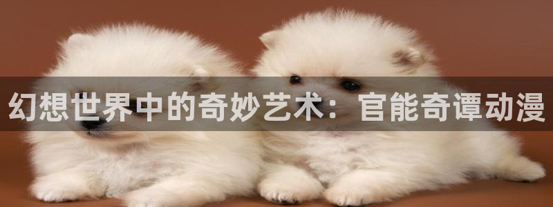 里番成人动漫在线观看：幻想世界中的奇妙艺术：官能奇谭动漫